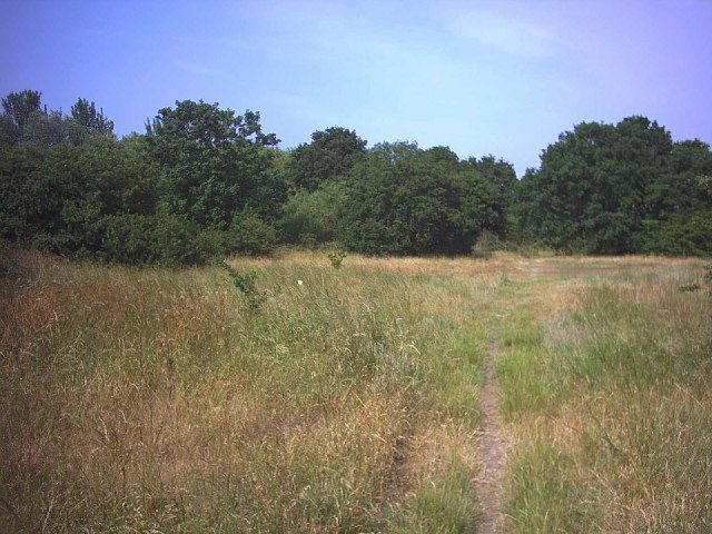 File:Mitcham Common. - geograph.org.uk - 21884.jpg