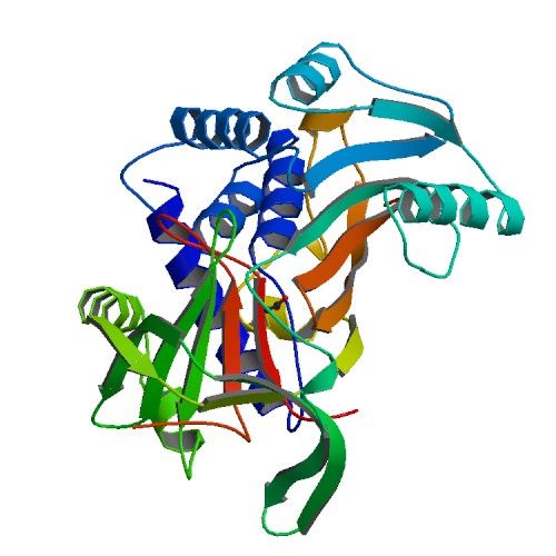 File:PBB Protein SERPINA3 image.jpg