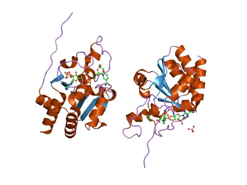 File:PDB 1djl EBI.jpg