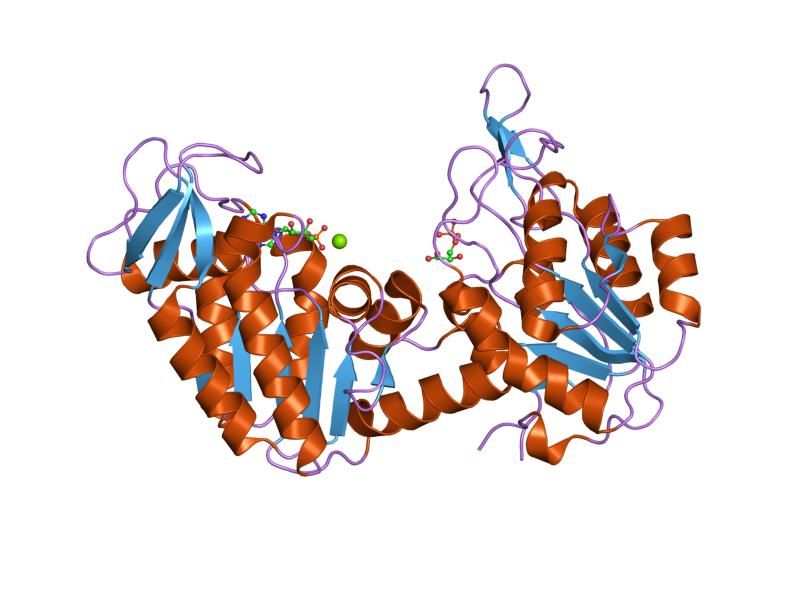 File:PDB 1hdi EBI.jpg