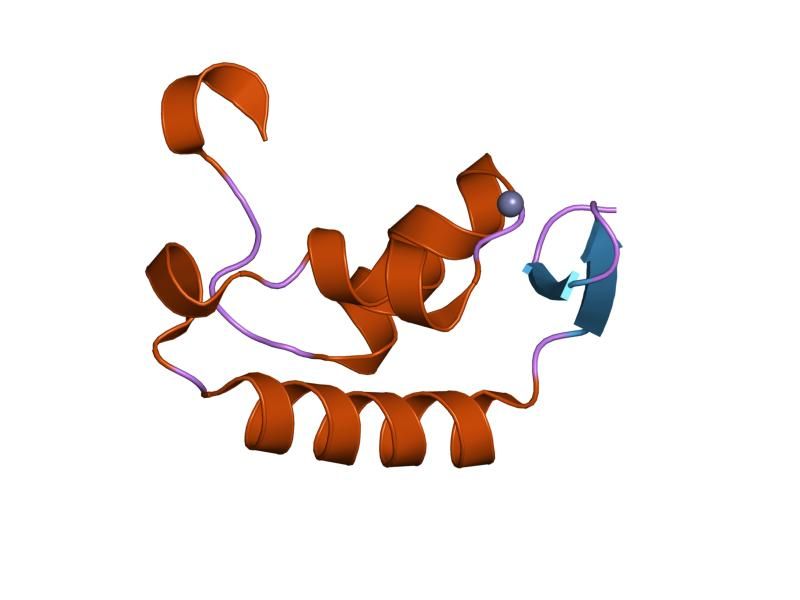 File:PDB 1i27 EBI.jpg