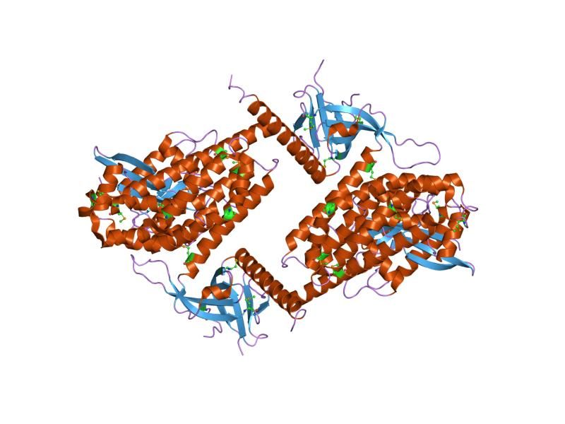 File:PDB 1kz7 EBI.jpg