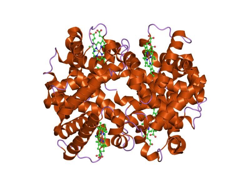 File:PDB 1nqp EBI.jpg