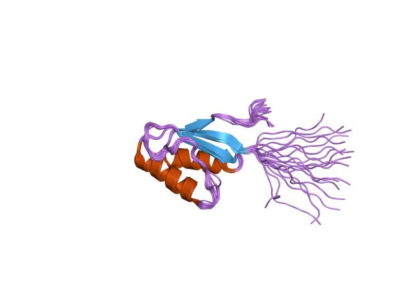 File:PDB 1o6x EBI.jpg