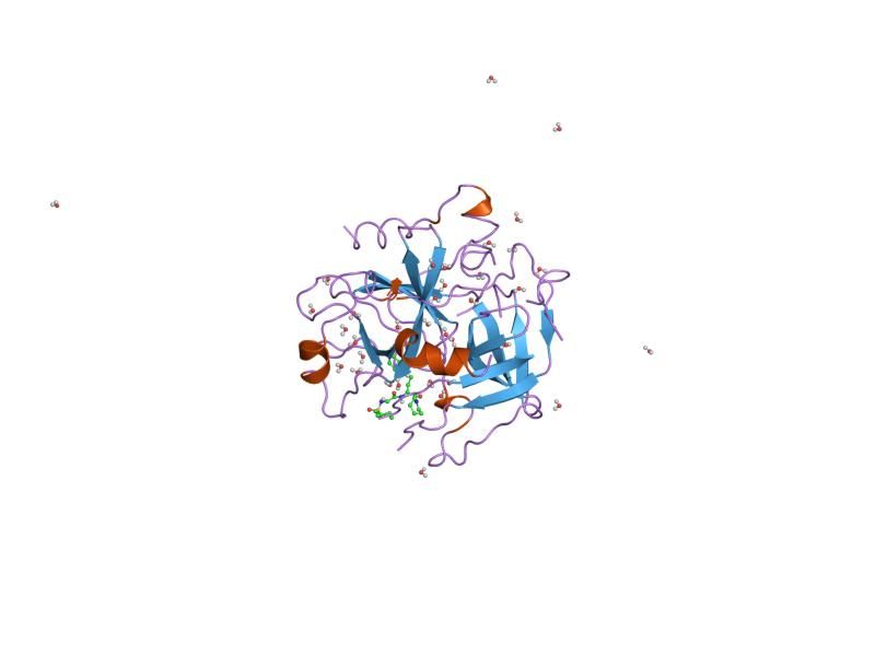 File:PDB 1uvs EBI.jpg