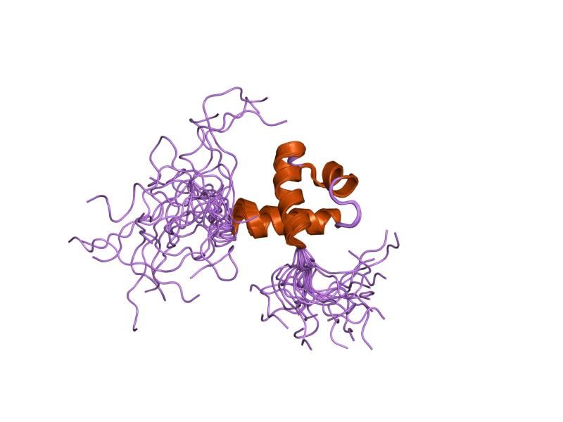 File:PDB 2crg EBI.jpg