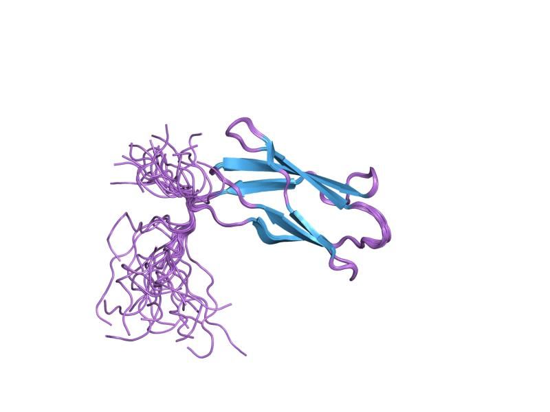 File:PDB 2d7n EBI.jpg