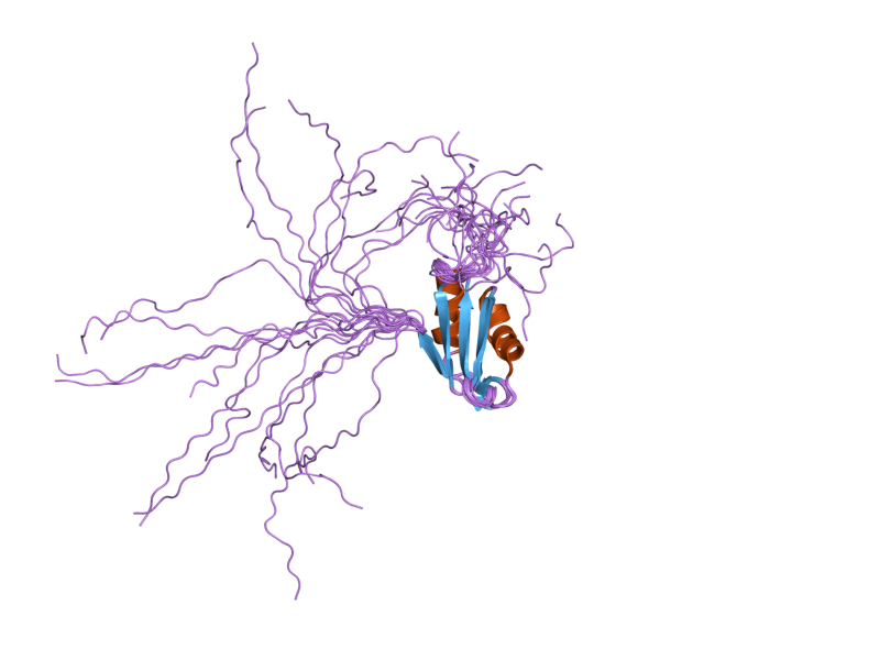 File:PDB 2dgo EBI.png