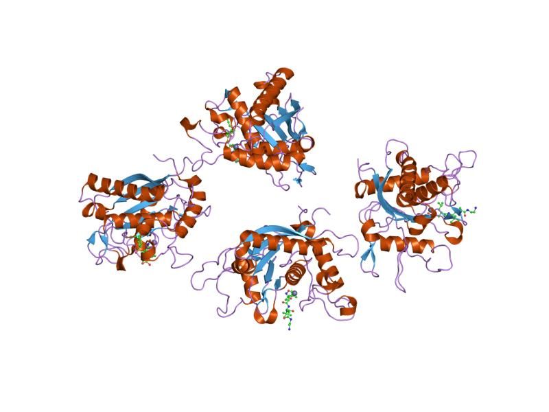 File:PDB 2i47 EBI.jpg