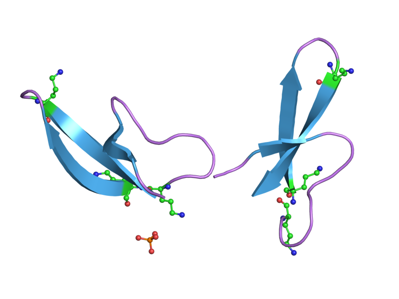 File:PDB 2pm5 EBI.png