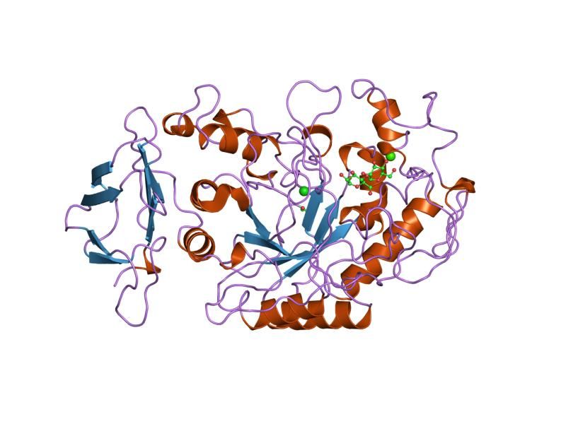 File:PDB 3cpu EBI.jpg