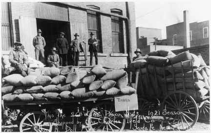 File:Pinon nuts packed for shipment, 1921.jpg