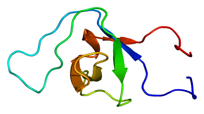 File:Protein BAIAP2L1 PDB 1spk.png