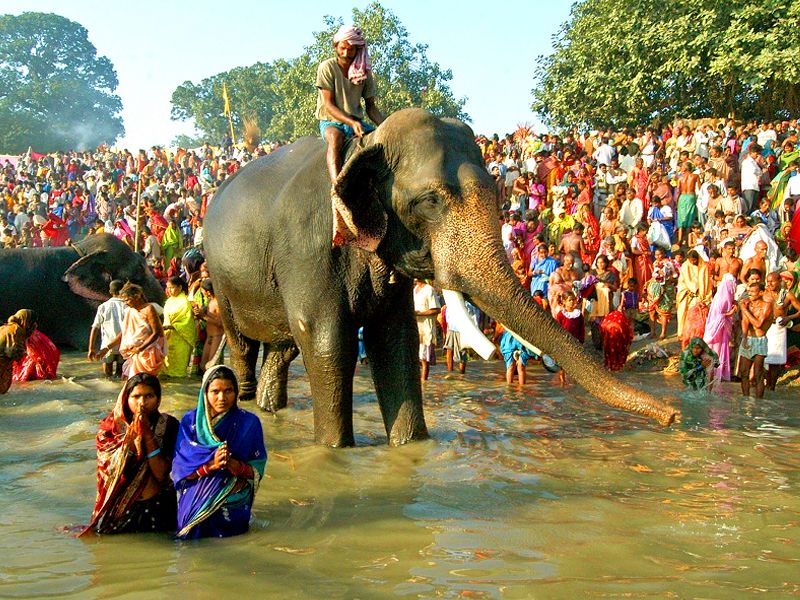 File:Sonepur Mela Bath.jpg