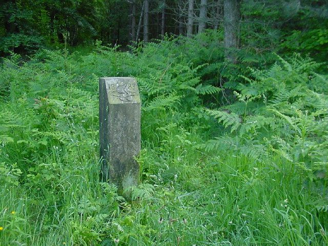 File:Bird Stone - geograph.org.uk - 19096.jpg