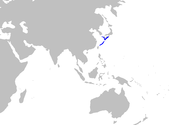 File:Cirrhoscyllium japonicum distmap.png