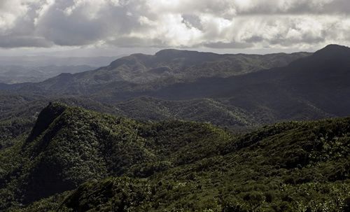 File:El Toro Wilderness.jpg