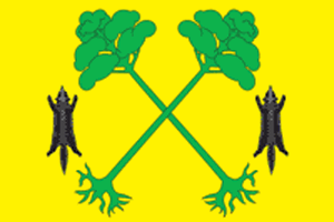 File:Flag of Tyukalinsk.png