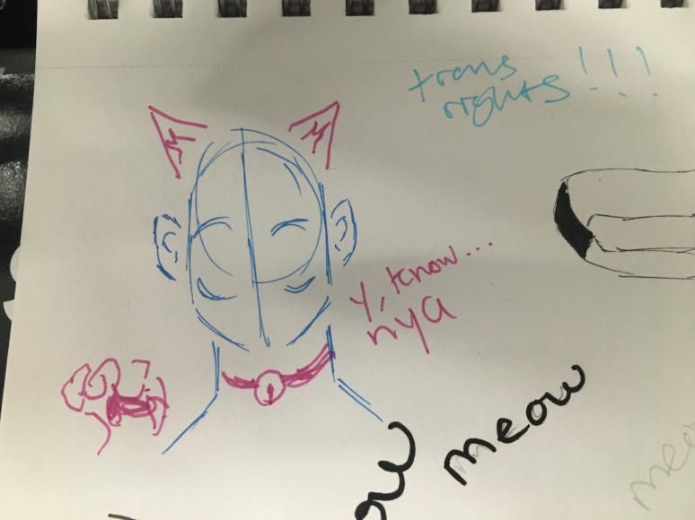 File:Marker testpad catboy meme.jpg