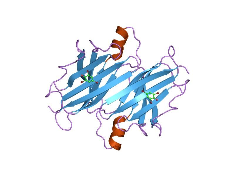 File:PDB 1e5a EBI.jpg