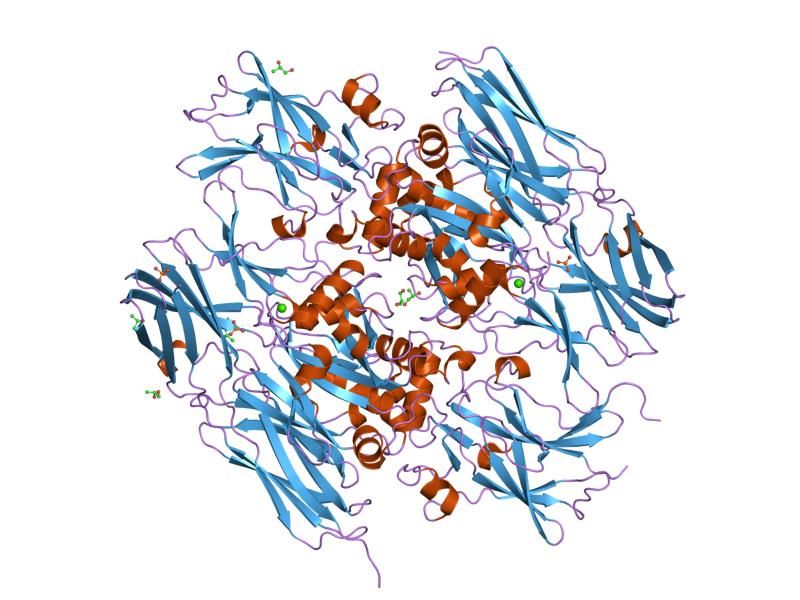 File:PDB 1ex0 EBI.jpg