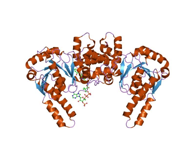 File:PDB 1f12 EBI.jpg