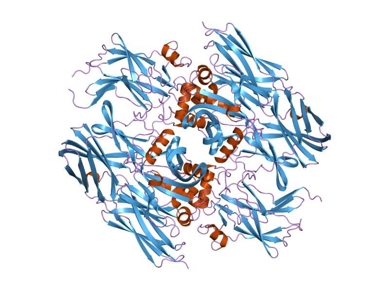 File:PDB 1f13 EBI.jpg