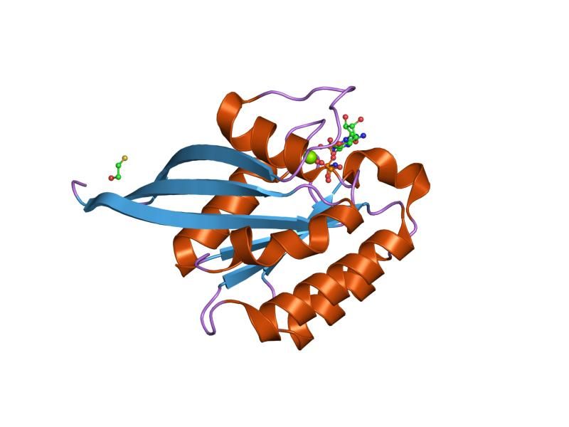 File:PDB 1n6r EBI.jpg