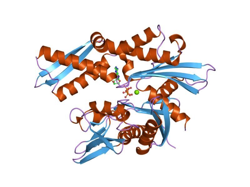 File:PDB 1ngg EBI.jpg