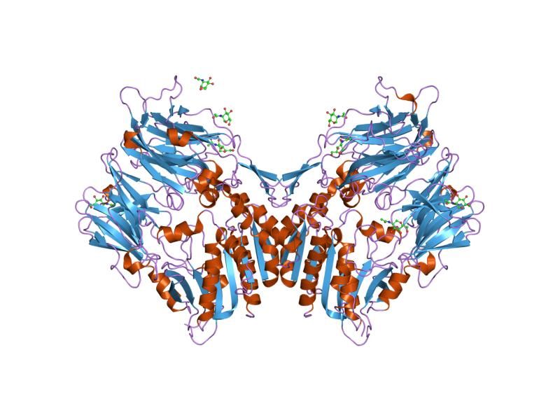 File:PDB 1nu8 EBI.jpg