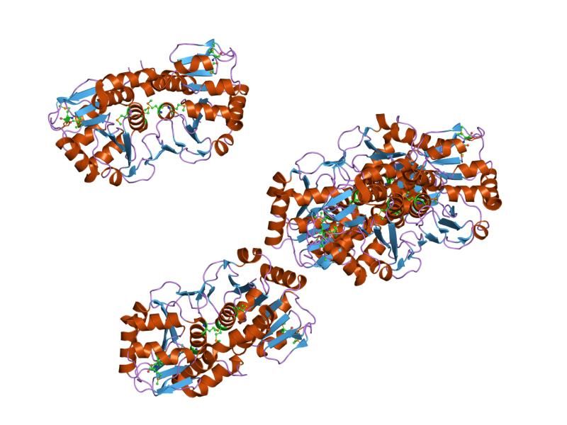 File:PDB 1pdw EBI.jpg