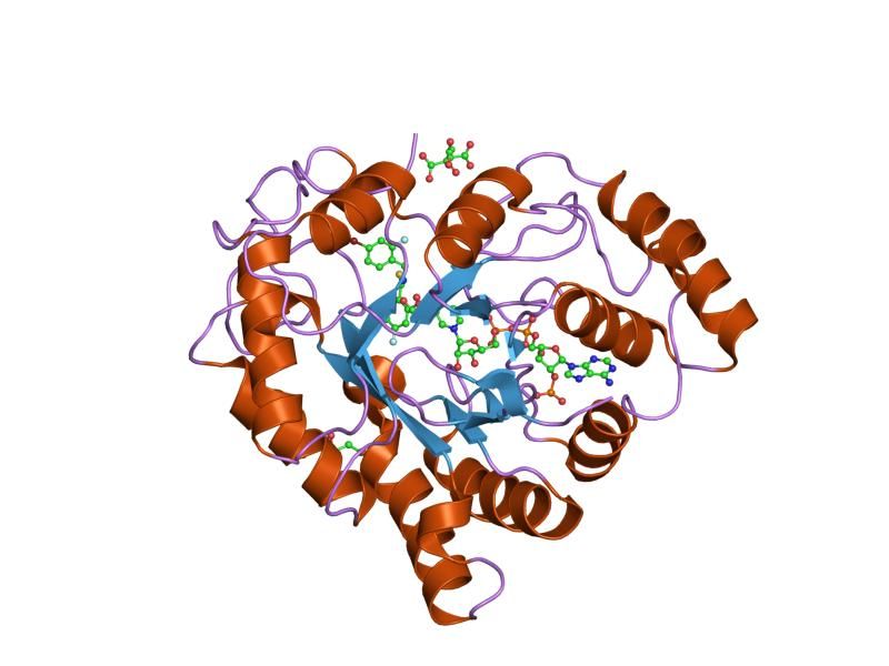 File:PDB 1us0 EBI.jpg