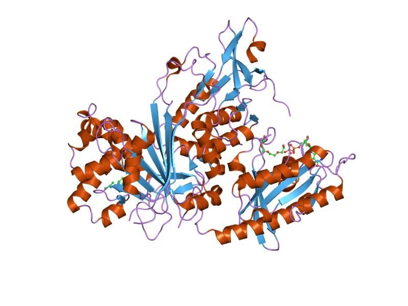 File:PDB 1vg0 EBI.jpg