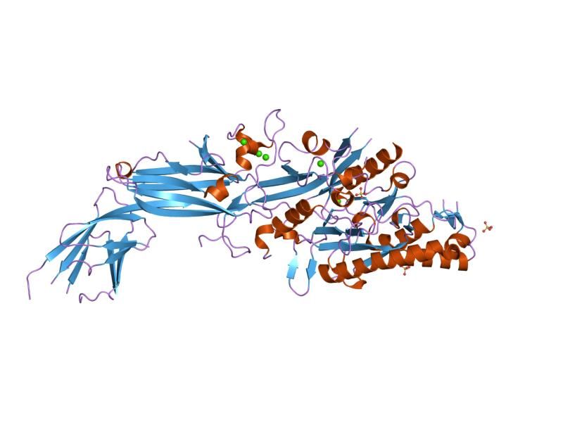 File:PDB 1wd9 EBI.jpg