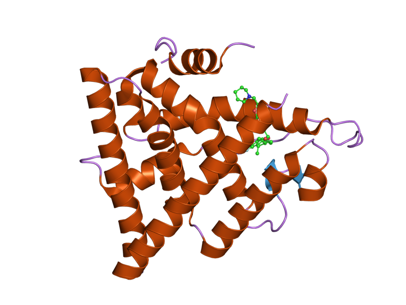 File:PDB 1yin EBI.png