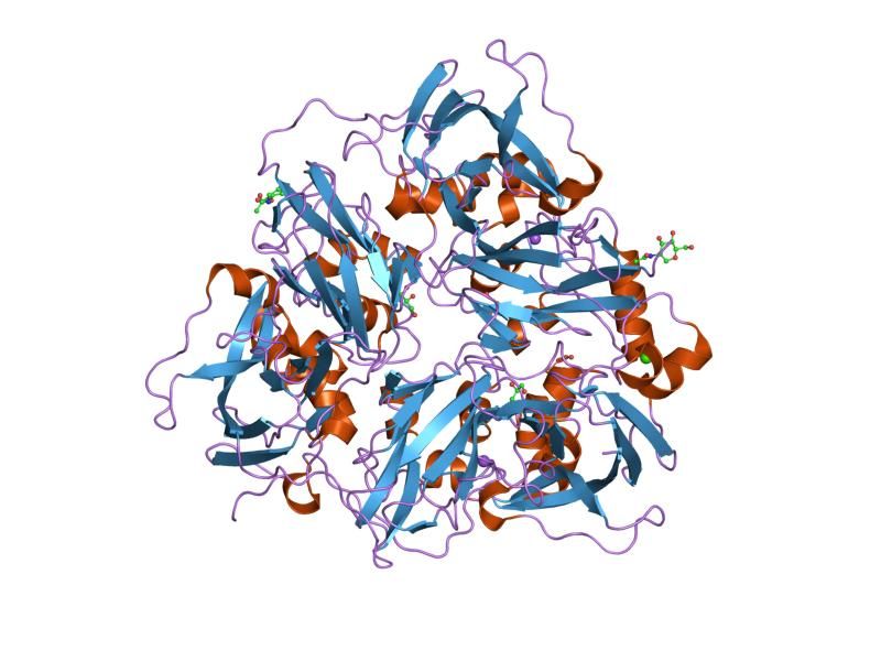 File:PDB 2j5w EBI.jpg