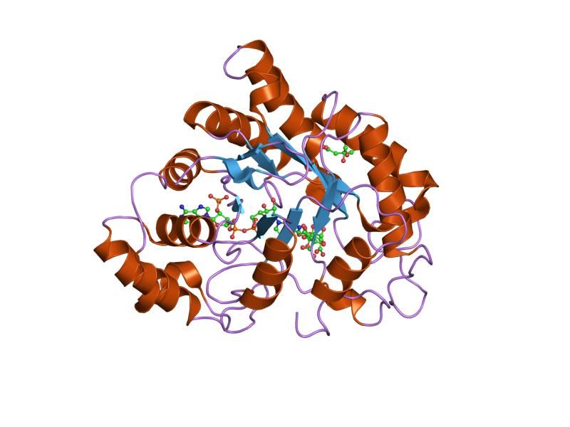 File:PDB 2j8t EBI.jpg