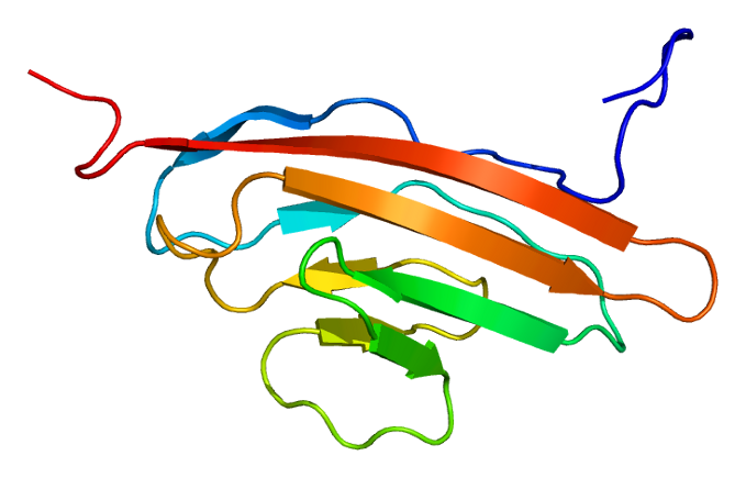 File:Protein LRRC4 PDB 2dl9.png