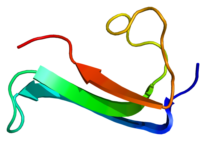 File:Protein MDK PDB 1mkc.png