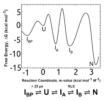 File:SsIGPS reaction coordinates.png