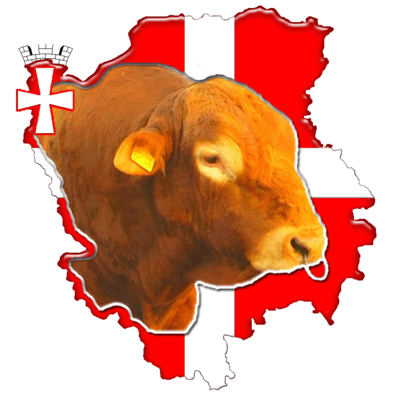 File:Volyn meat cattle logo.png