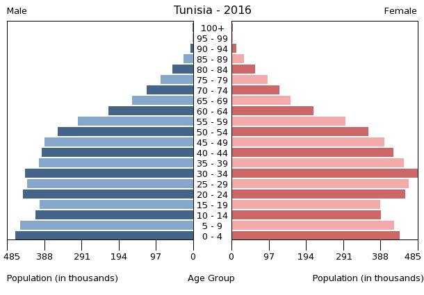 File:Bevölkerungspyramide Tunesien 2016.png