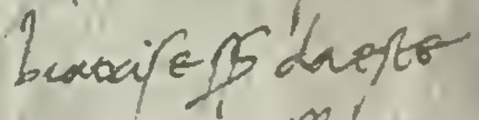 File:Firma di Beatrice d'Este.png