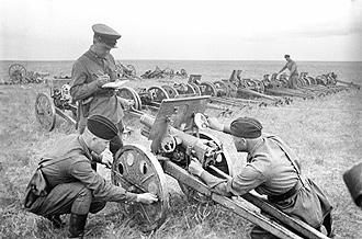 File:Khalkhin Gol Captured Japanese guns 1939.jpg