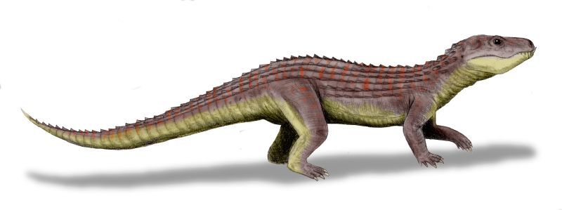 File:Mariliasuchus BW.jpg