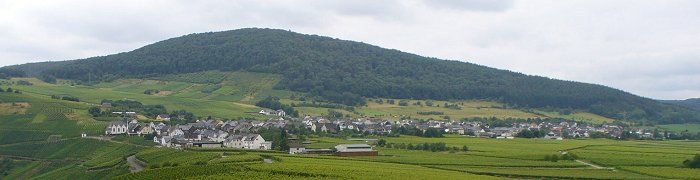 File:Monzel Panorama 2009.JPG