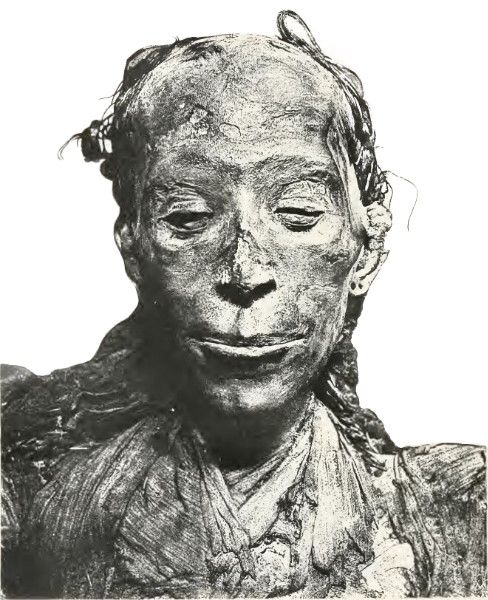 File:Mummy of Tjuyu.jpg