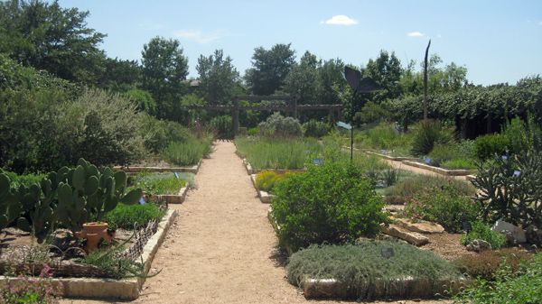 File:Native Texas plants.jpg