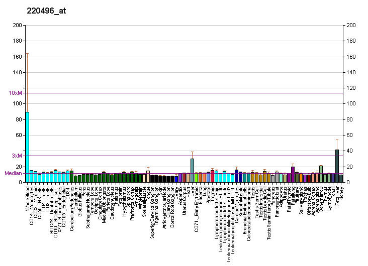 File:PBB GE CLEC1B 220496 at fs.png