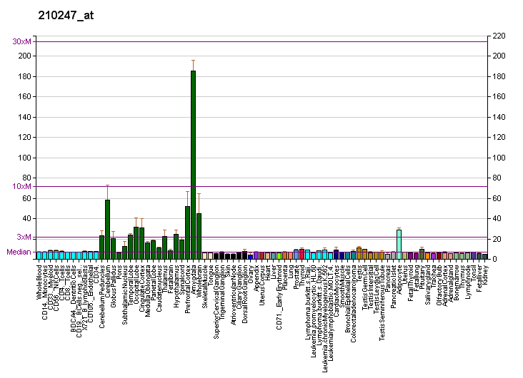 File:PBB GE SYN2 210247 at fs.png